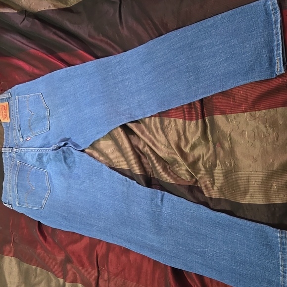 Levi - Picture 7 of 7